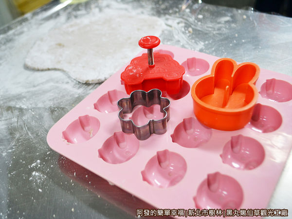 黑丸嫩仙草觀光工廠15-模具