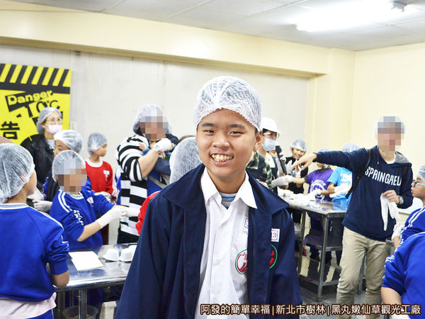 黑丸嫩仙草觀光工廠10-需戴頭套與手套