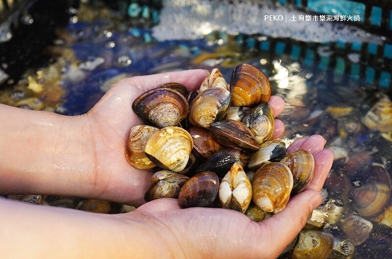 台北火鍋推薦.松江南京美食.松江南京火鍋.土狗樂市.土狗樂市菜單.樂涮海鮮火鍋.