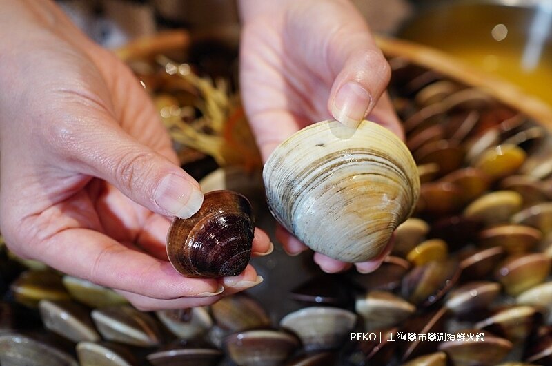 台北火鍋推薦.松江南京美食.松江南京火鍋.土狗樂市.土狗樂市菜單.樂涮海鮮火鍋.