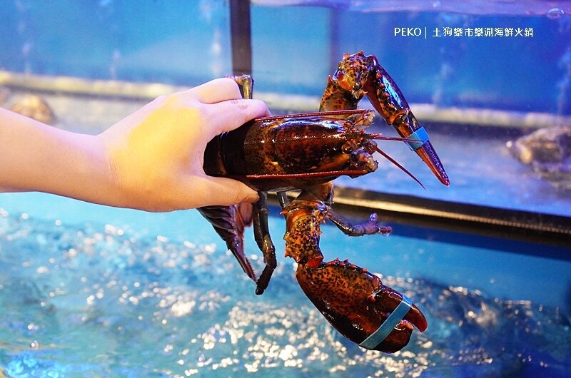 台北火鍋推薦.松江南京美食.松江南京火鍋.土狗樂市.土狗樂市菜單.樂涮海鮮火鍋.