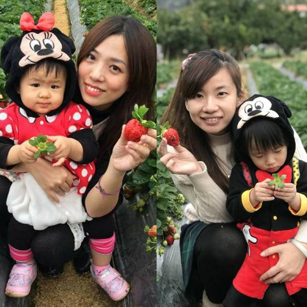 威哥草莓園:苗栗大湖~威哥草莓園~吉園圃認證觀光草莓園~自己動手採草莓好吃好玩好有趣~