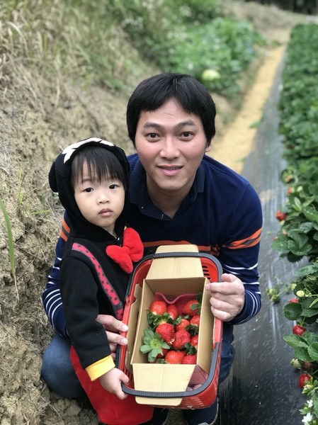 威哥草莓園:苗栗大湖~威哥草莓園~吉園圃認證觀光草莓園~自己動手採草莓好吃好玩好有趣~