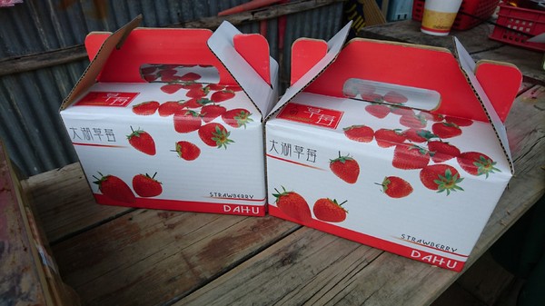 威哥草莓園:苗栗大湖~威哥草莓園~吉園圃認證觀光草莓園~自己動手採草莓好吃好玩好有趣~