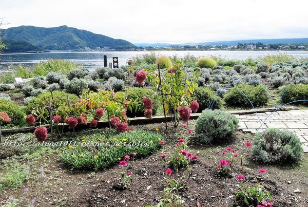 巴士紅線+自然館 (18).jpg