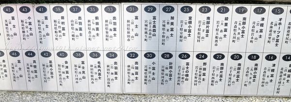 巴士紅線+自然館 (12).jpg