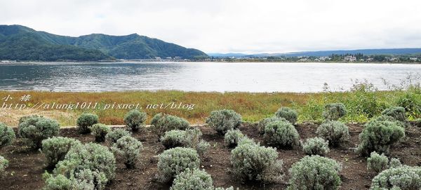 巴士紅線+自然館 (15).jpg