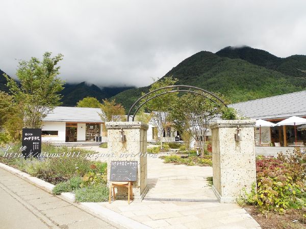 巴士紅線+自然館 (32).jpg