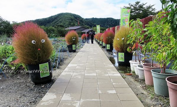 巴士紅線+自然館 (20).jpg