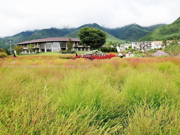 巴士紅線+自然館 (26).jpg