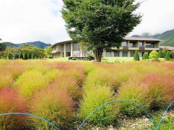 巴士紅線+自然館 (29).jpg