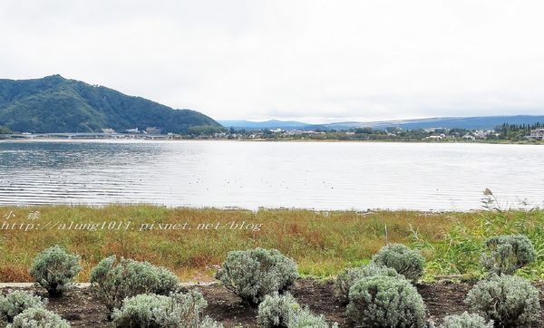 巴士紅線+自然館 (55).jpg