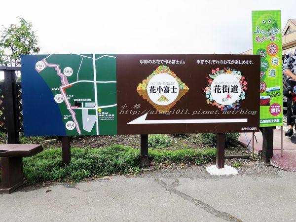 巴士紅線+自然館 (16).jpg