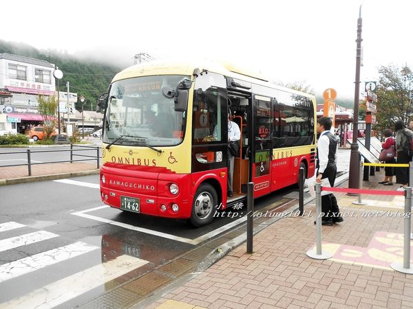 巴士紅線+自然館 (3).jpg