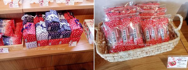 巴士紅線+自然館 (36).jpg