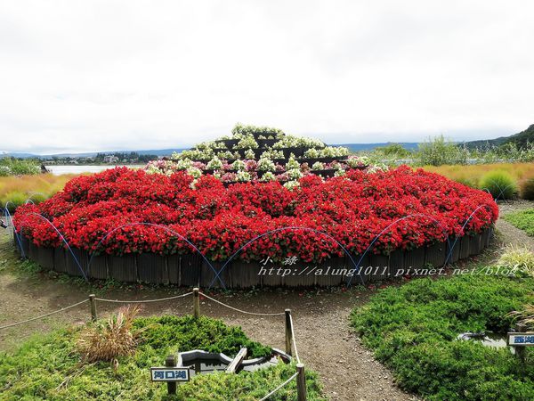 巴士紅線+自然館 (27).jpg