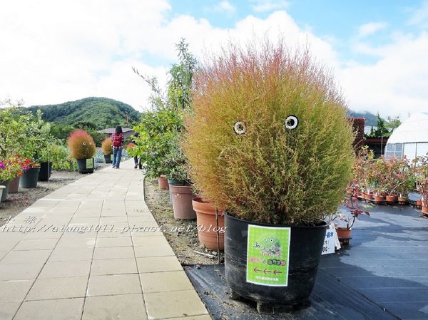 巴士紅線+自然館 (56).jpg