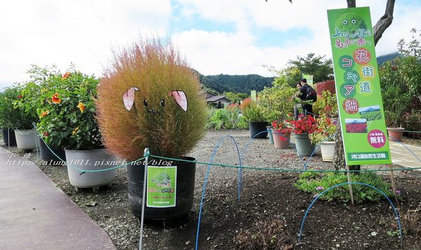 巴士紅線+自然館 (21).jpg