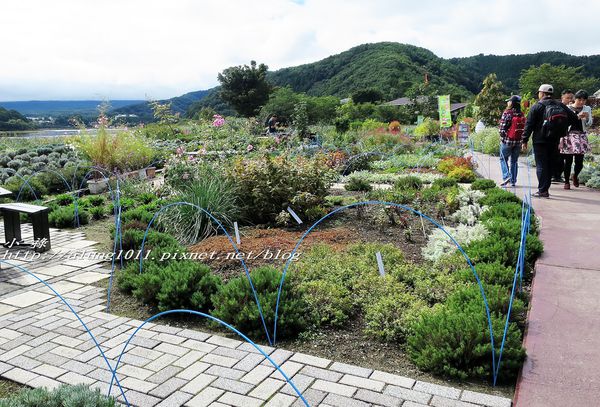 巴士紅線+自然館 (17).jpg