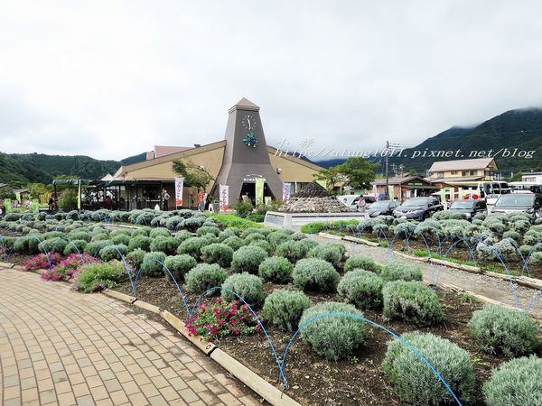 巴士紅線+自然館 (10).jpg