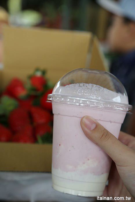 台南旅遊｜2018過年旅遊~走!我們去採草莓囉!!南科觀光草莓園｜南科高架草莓園｜台南採草莓｜新市善化草莓園｜新年旅遊走春｜草莓花束｜奶蓋草莓鮮奶 - 台南好Food遊