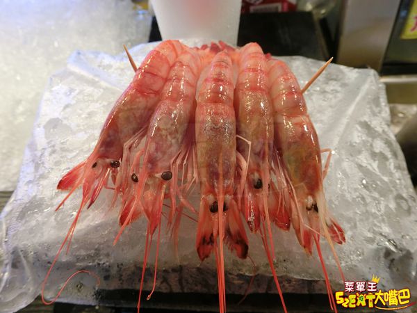 【浤騰生魚片菜單價位大公開】絕對不能錯過的新鮮生魚片～屏東必吃美食小吃餐廳推薦！招牌菜綜合生魚片拼盤。