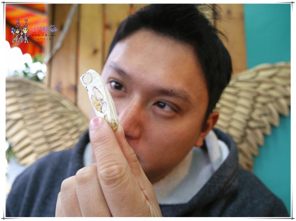 桃園美食,過年糖果,手工牛軋糖,核棗糕,龍岡美食,中壢美食,中壢甜點