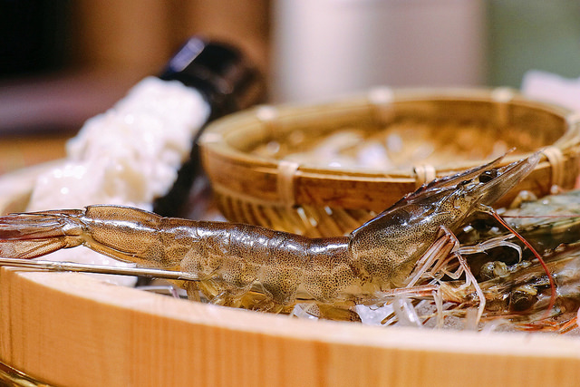 6C8C90DE-0B53-492D-A3F2-3DDA12F7C8D9