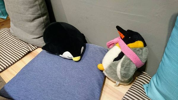 28058672_1787350651296616_5399419614936318573_n