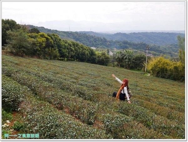2018戀戀魯冰花：桃園龍潭大北坑社區～2018戀戀魯冰花活動， 夢幻魯冰花海