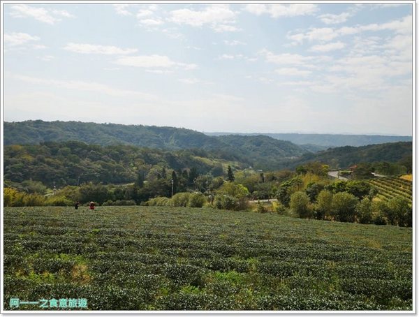 2018戀戀魯冰花：桃園龍潭大北坑社區～2018戀戀魯冰花活動， 夢幻魯冰花海