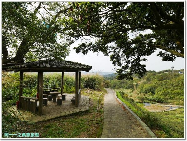 2018戀戀魯冰花：桃園龍潭大北坑社區～2018戀戀魯冰花活動， 夢幻魯冰花海