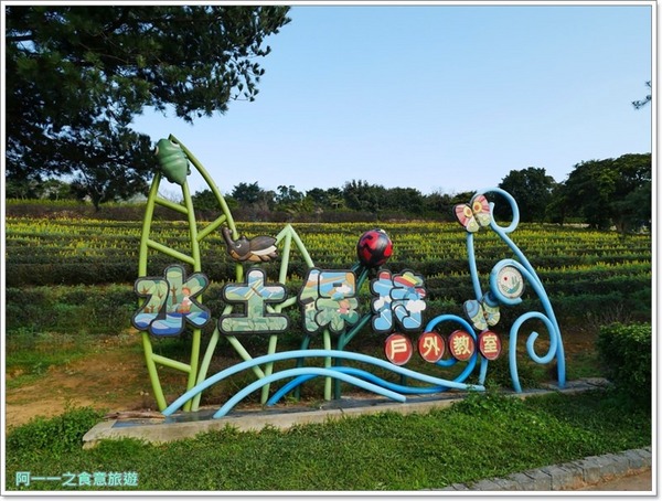 2018戀戀魯冰花：桃園龍潭大北坑社區～2018戀戀魯冰花活動， 夢幻魯冰花海