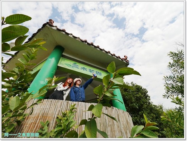 2018戀戀魯冰花：桃園龍潭大北坑社區～2018戀戀魯冰花活動， 夢幻魯冰花海