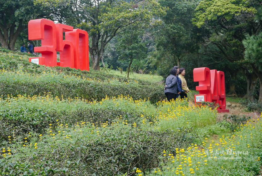龍潭大北坑魯冰花