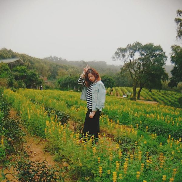 龍潭魯冰花 (29)