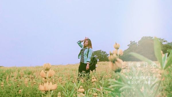 龍潭魯冰花 (32)