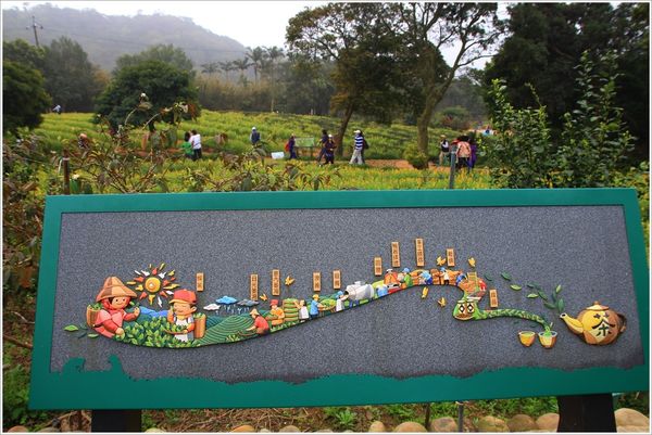 龍潭魯冰花 (41)