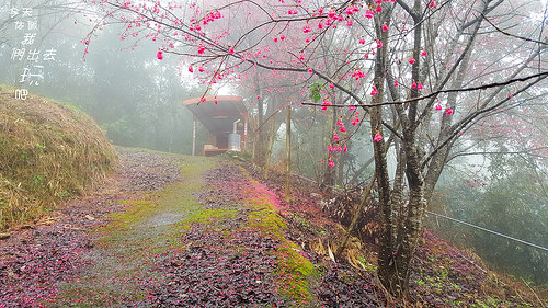 20180204_120807_副本