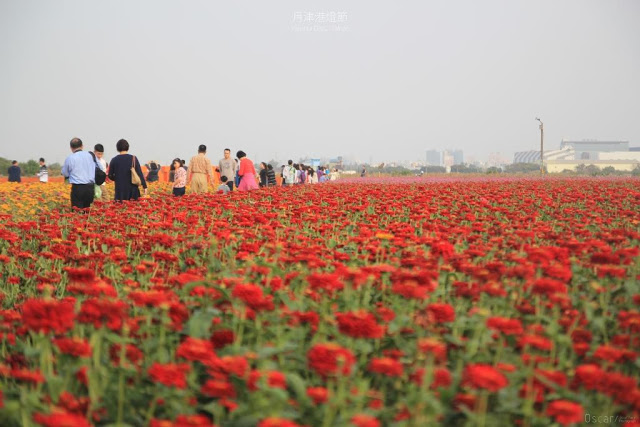 2018 月津港燈節-8