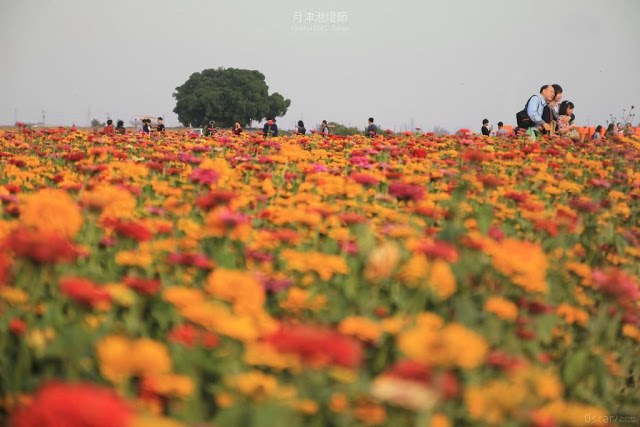 2018 月津港燈節-9