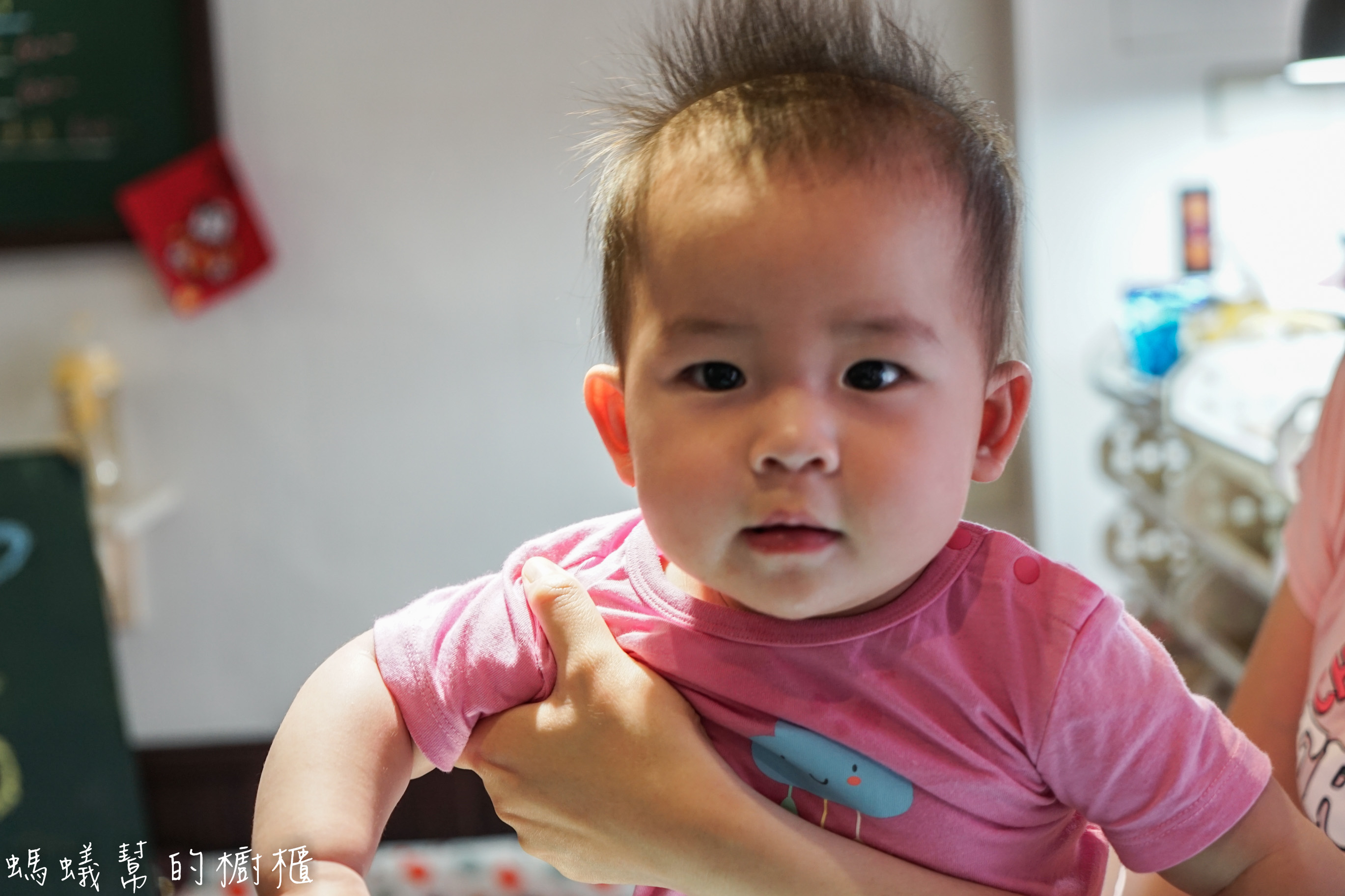 虎尾秣馬鯛魚燒|虎尾散步美食推薦，鯛魚燒外皮像雞蛋糕的口感，吃一個就有飽足感。 - 螞蟻幫的櫥櫃