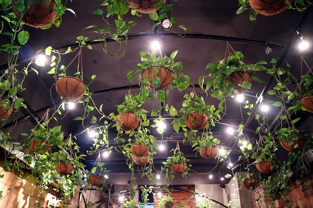 20180222_180222_0093