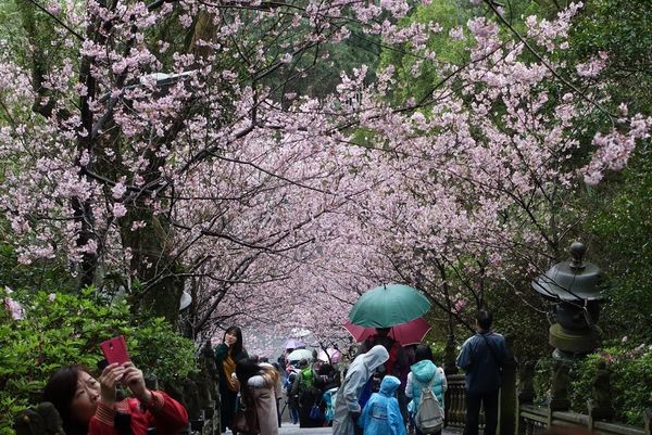 LRG_DSC07375 (1).JPG