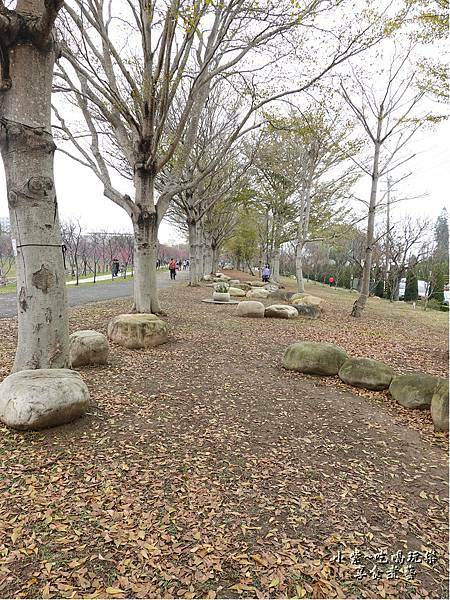 后里-崴立機電櫻花公園 (4).jpg