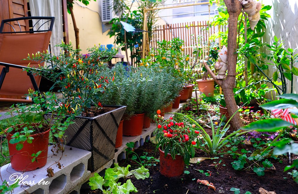 [台南]東區 菲律賓特色料理|羅望子牛腩鍋vs農夫醬|自助式早午餐吃到飽 伊家YI HOME Brunch