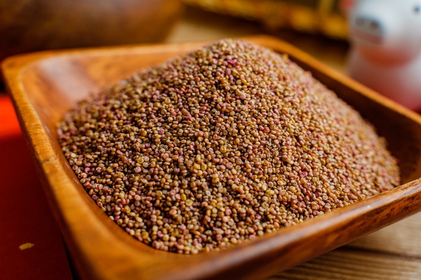 不求人！在家也能做出高水準的米飯料理，關鍵就是。。。