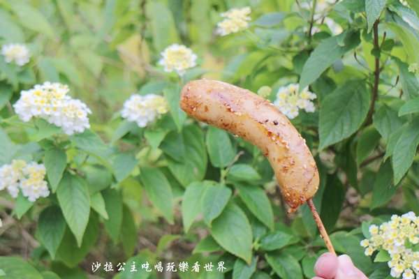 維縈家鄉碳烤雞排:天母人氣美食『維縈家鄉碳烤雞排』士林夜市排隊小吃/天母市集對面/美國學校旁