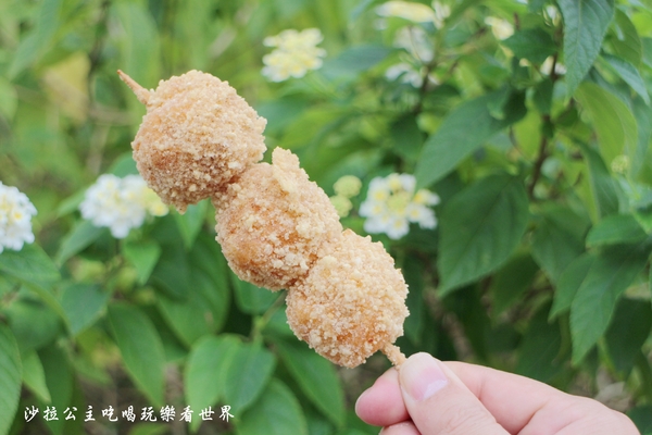 維縈家鄉碳烤雞排:天母人氣美食『維縈家鄉碳烤雞排』士林夜市排隊小吃/天母市集對面/美國學校旁