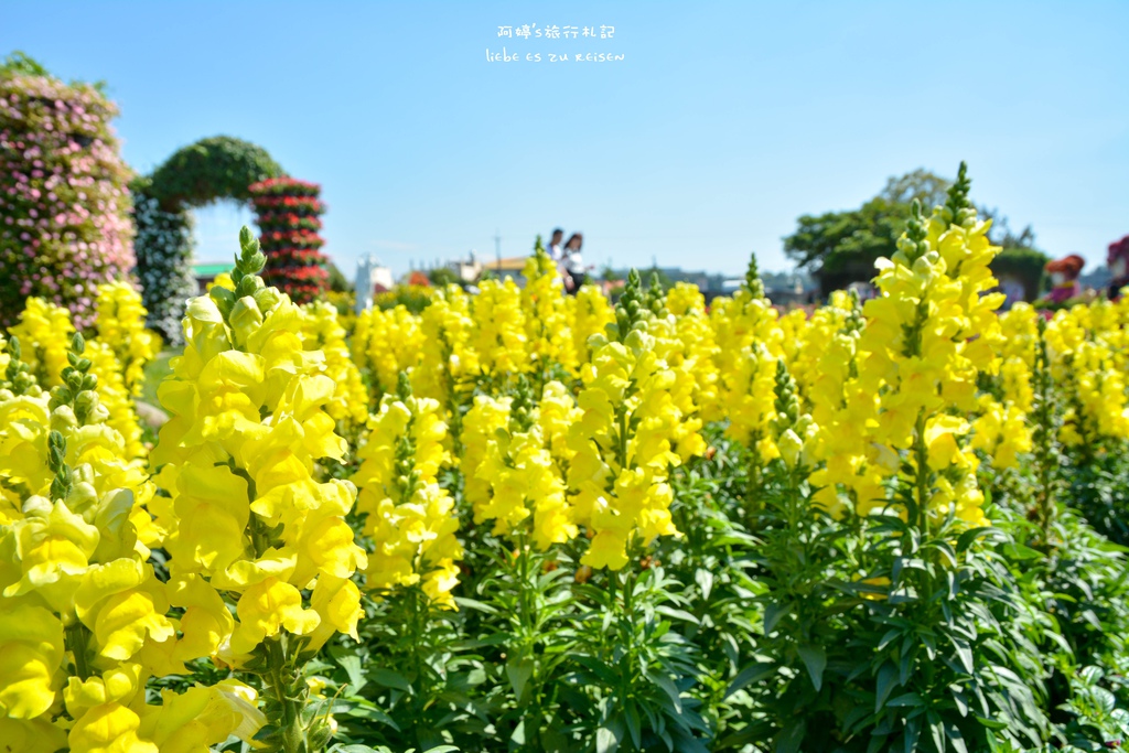 DSC_0665.jpg DSC_0665.jpg